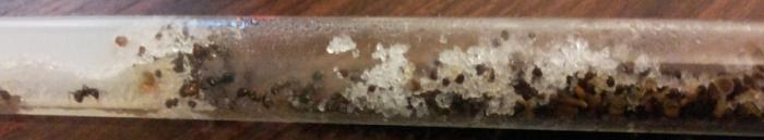 2014-01-22 20.40.35.jpg