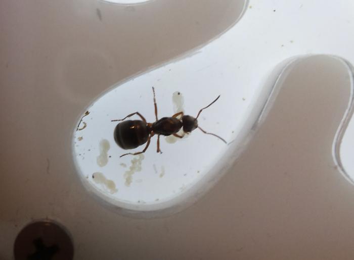 2014-02-06 18.26.10.jpg