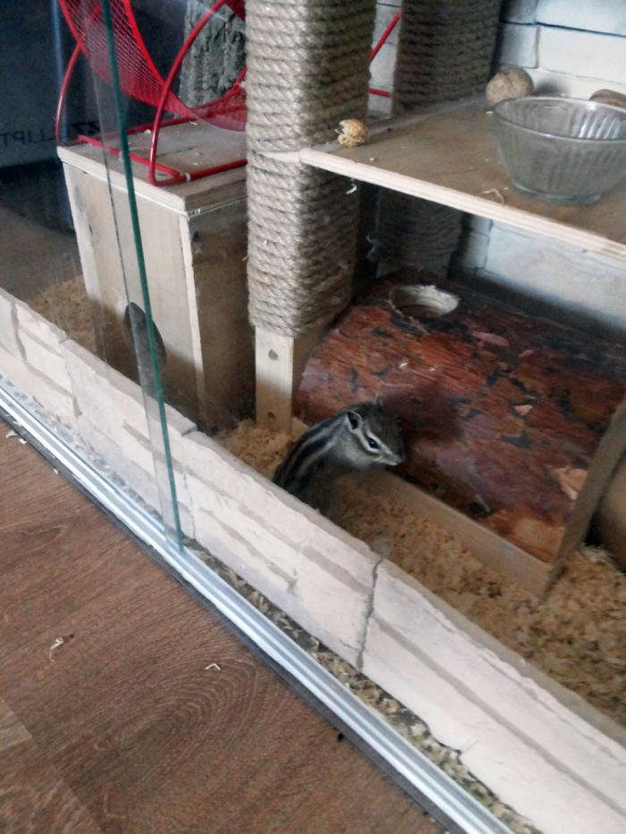 2014-04-10 12.09.22.jpg