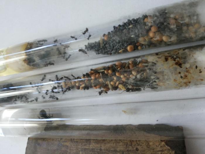 2014-05-01 12.15.18.jpg