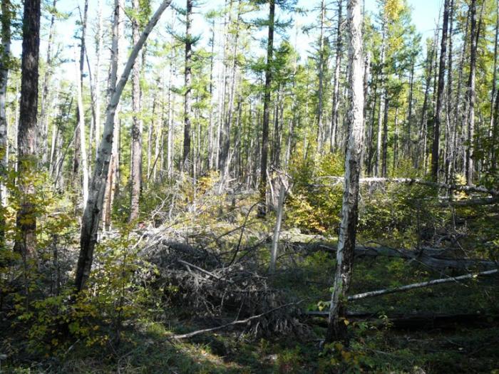 2 ÐÑÑÑ Ð¸ ÑÑÑка.jpg