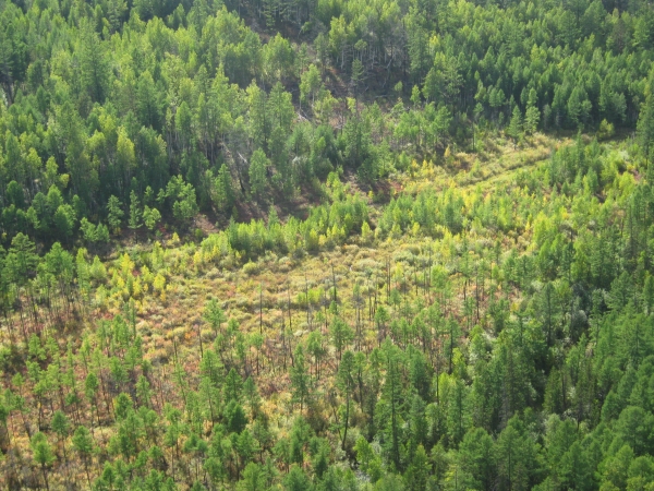 5 Река ÐÑÑÑÑй ÑвеÑÑ
Ñ 3 ÑÐµÐ½Ñ 2010.jpg