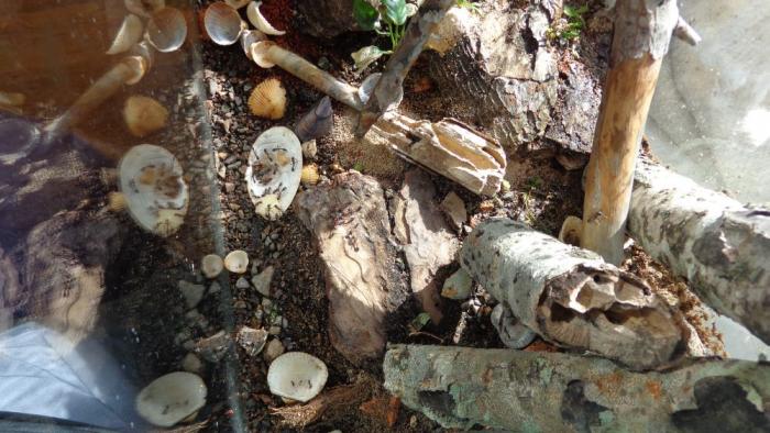 DSC00454 vid sverhu.jpg