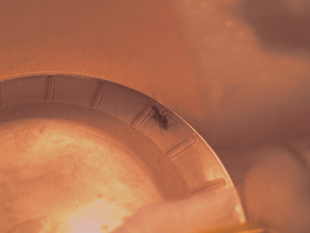 00006 - ÐºÐ¾Ð¿Ð¸Ñ_0.jpg