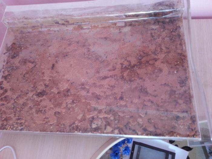 20150609_164433_Ð½Ð¾Ð²ÑÐ¹ ÑÐ°Ð·Ð¼ÐµÑ.jpg