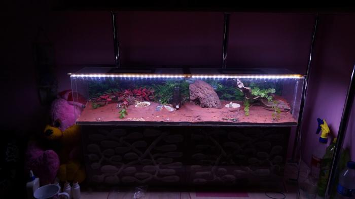 DSC02066_Ð½Ð¾Ð²ÑÐ¹ ÑÐ°Ð·Ð¼ÐµÑ.JPG