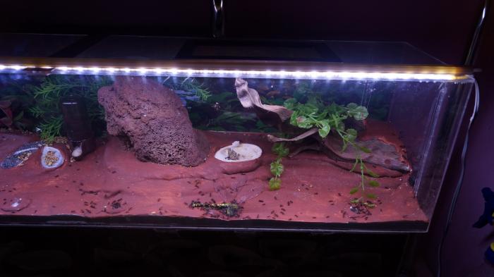 DSC02067_Ð½Ð¾Ð²ÑÐ¹ ÑÐ°Ð·Ð¼ÐµÑ.JPG