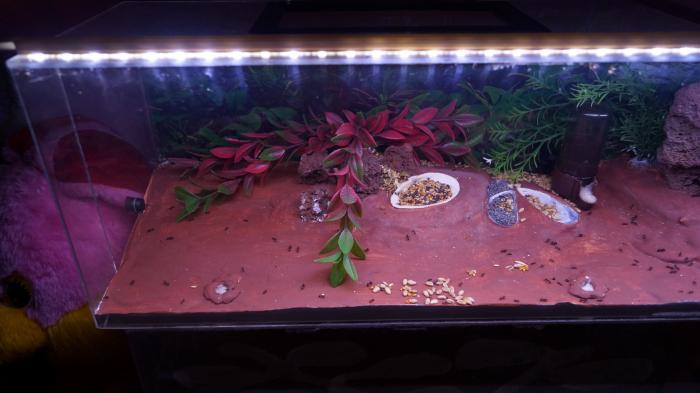 DSC02068_Ð½Ð¾Ð²ÑÐ¹ ÑÐ°Ð·Ð¼ÐµÑ_0.JPG