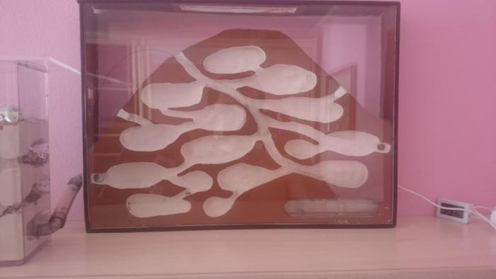 DSC_0374_Ð½Ð¾Ð²ÑÐ¹ ÑÐ°Ð·Ð¼ÐµÑ.JPG