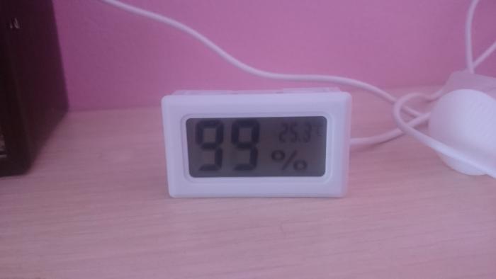 DSC_0376_Ð½Ð¾Ð²ÑÐ¹ ÑÐ°Ð·Ð¼ÐµÑ_0.JPG