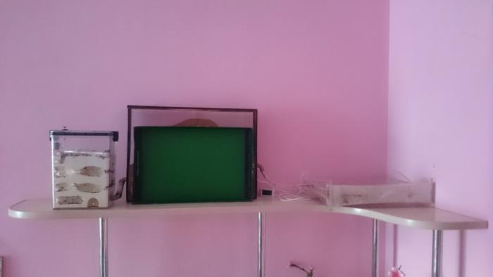 DSC_0384_Ð½Ð¾Ð²ÑÐ¹ ÑÐ°Ð·Ð¼ÐµÑ.JPG