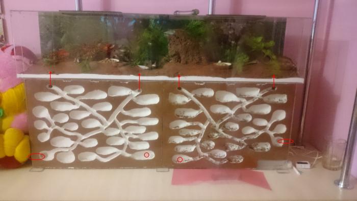 DSC_0436s_Ð½Ð¾Ð²ÑÐ¹ ÑÐ°Ð·Ð¼ÐµÑ.jpg