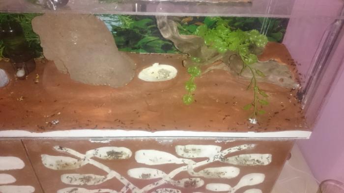 DSC_0437_Ð½Ð¾Ð²ÑÐ¹ ÑÐ°Ð·Ð¼ÐµÑ.JPG