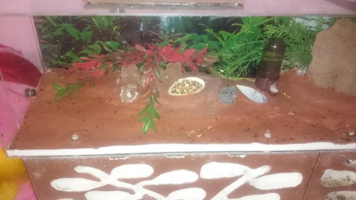 DSC_0438_Ð½Ð¾Ð²ÑÐ¹ ÑÐ°Ð·Ð¼ÐµÑ.JPG