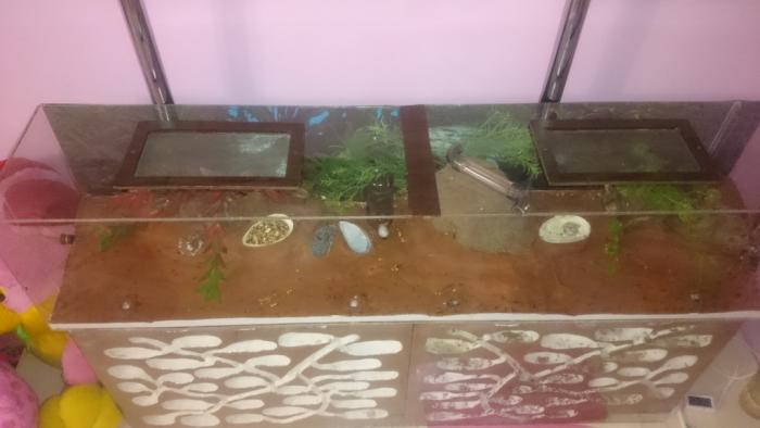 DSC_0439_Ð½Ð¾Ð²ÑÐ¹ ÑÐ°Ð·Ð¼ÐµÑ.JPG