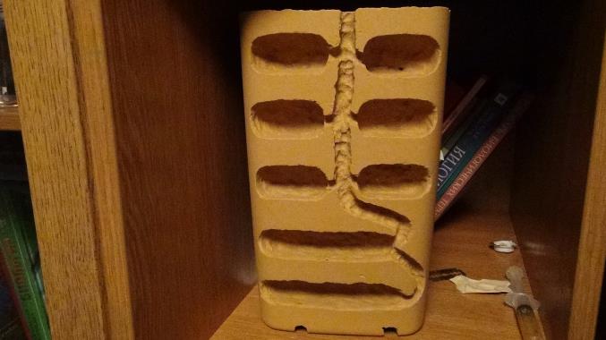  Ð½Ð° Ð¿Ð¾Ð»ÐºÐµ.jpg