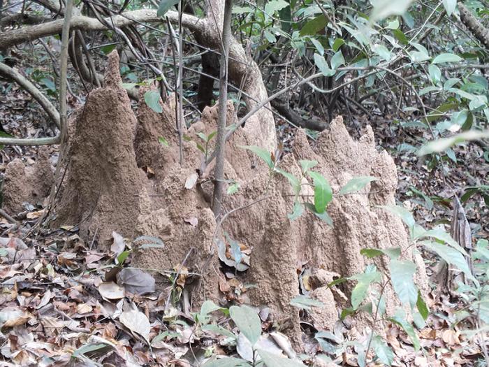 DSCF4771 ÐºÐ¾Ð¿Ð¸Ñ.jpg