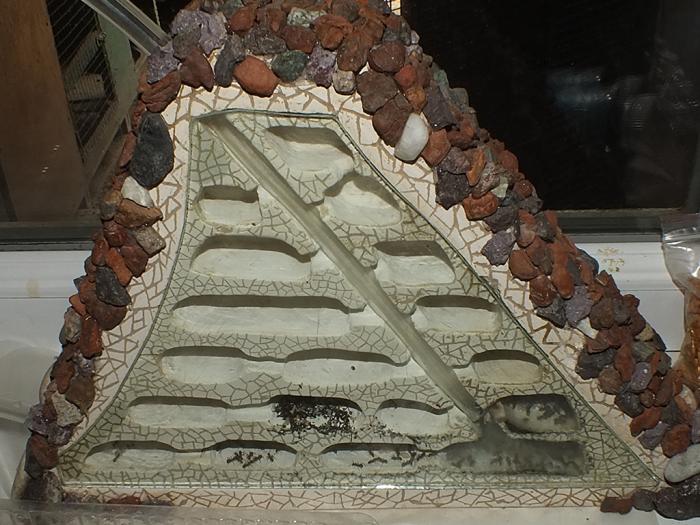 formicarium1.jpg