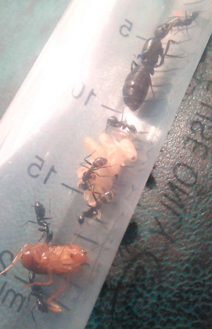 IMG_20180612_222057 (2).jpg