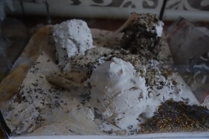 Общий вид арены