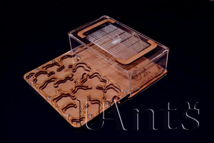 DSC_0011 копиÑ-2.jpg