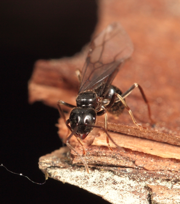  ÐºÑÑÐ»Ð°ÑÐ°Ñ Ð¿Ð¾ÑÑÑÐµÑ.jpg