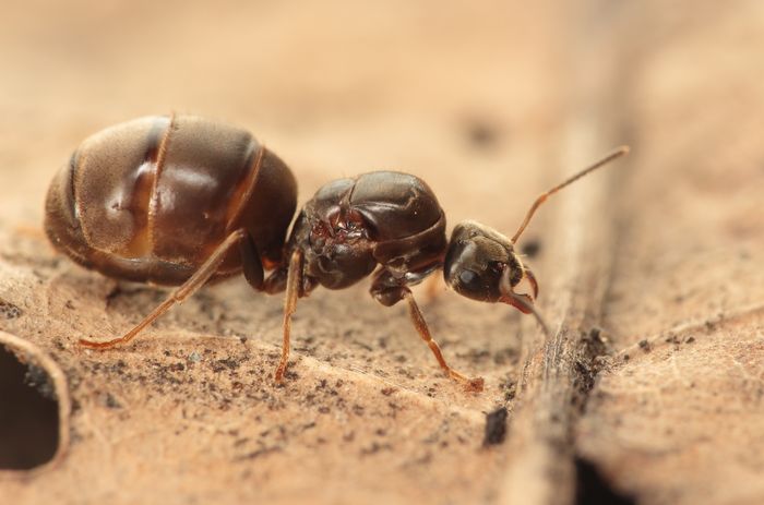 на лиÑÑе пÑоÑилÑ.jpg