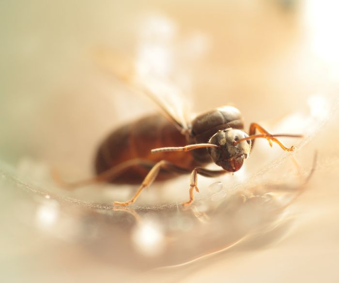  Ð¾Ð´Ð½Ð¾ÐºÑÑÐ»Ð°Ñ Ð¿Ð¾ÑÑÑÐµÑ.jpg