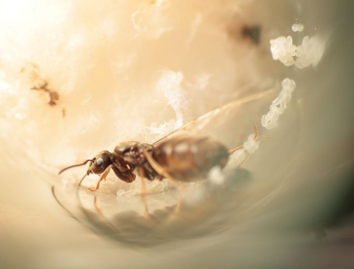 однокÑÑÐ»Ð°Ñ ÑйÑа вÑазбÑоÑ.jpg