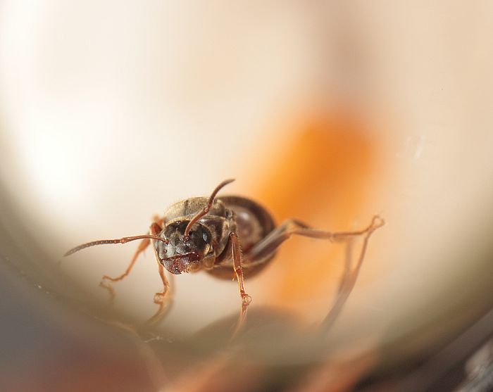 Ñ Ð¿ÑпаÑием2 маÑка.jpg