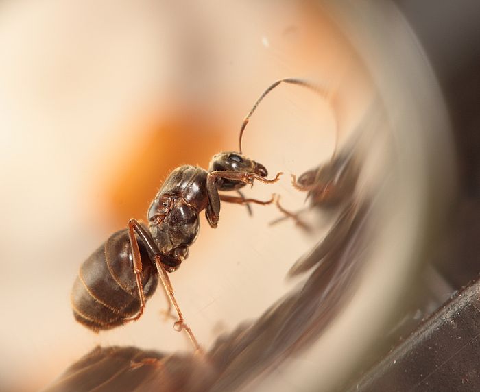 Ñ Ð¿ÑпаÑием3 маÑка.jpg