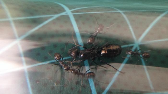 2015-04-27 15.24.34.jpg