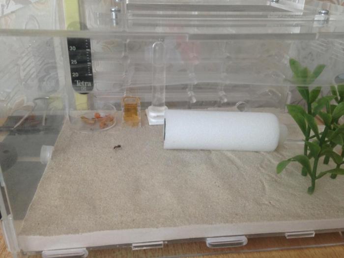 2015-06-24 13.59.24.jpg