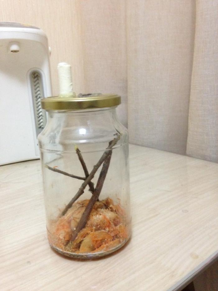 2015-07-01 23.01.38.jpg