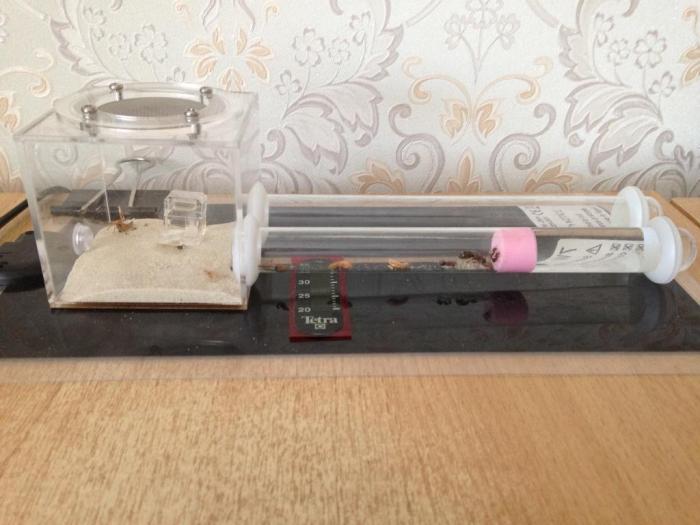 2015-07-02 11.22.23.jpg