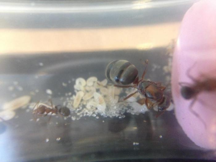 2015-07-02 11.24.30.jpg