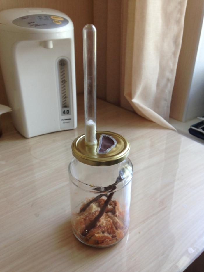 2015-07-02 11.36.13.jpg