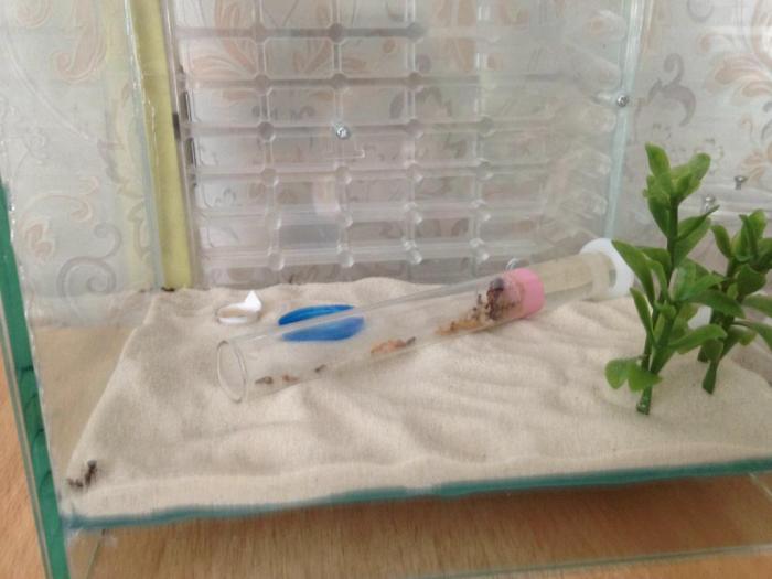 2015-07-19 15.53.38.jpg