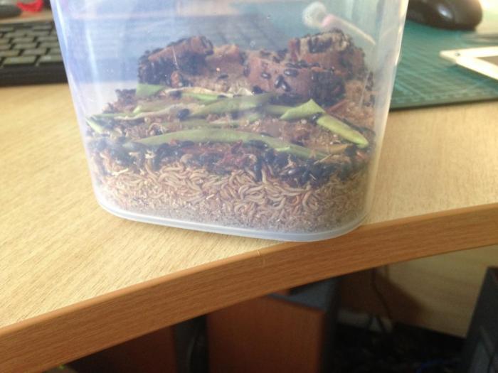 2015-07-20 15.04.27.jpg