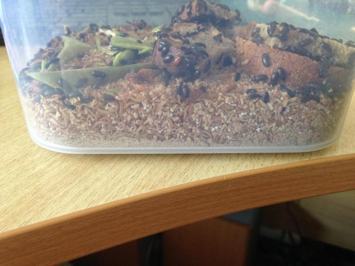 2015-07-20 15.04.34.jpg