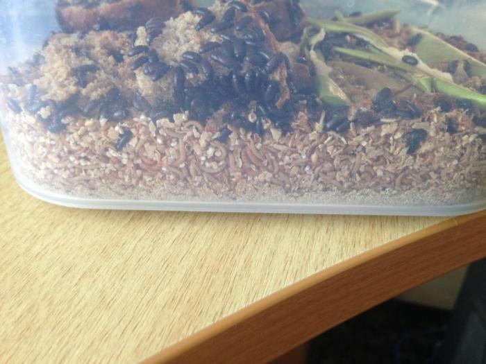 2015-07-20 15.04.54.jpg