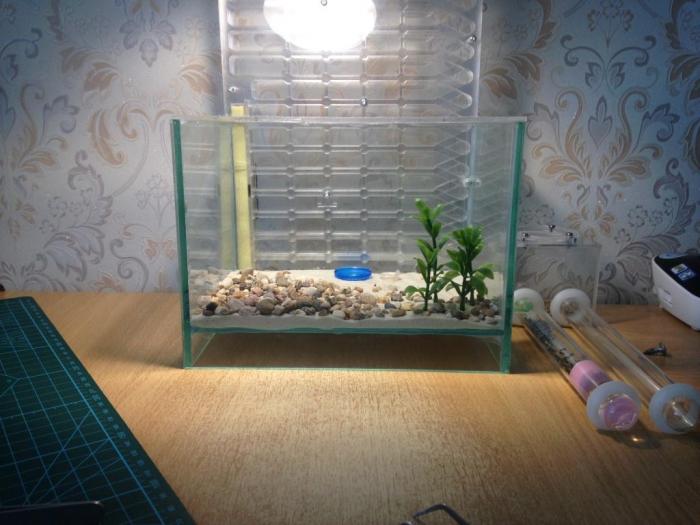 2015-07-20 15.05.01.jpg