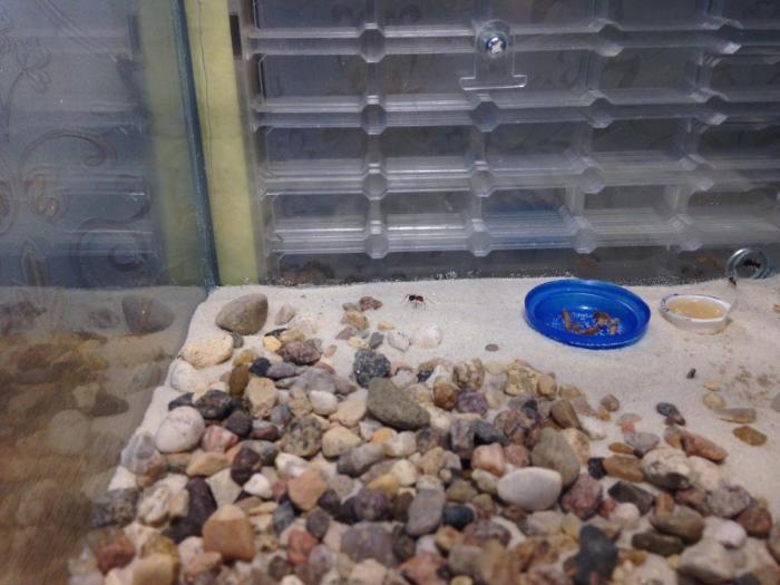 2015-07-20 15.05.07.jpg