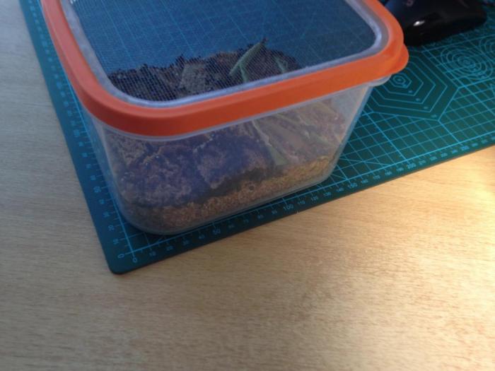 2015-07-20 15.11.45.jpg