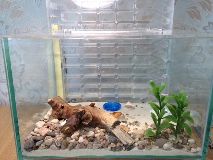 2015-07-24 16.45.27.jpg