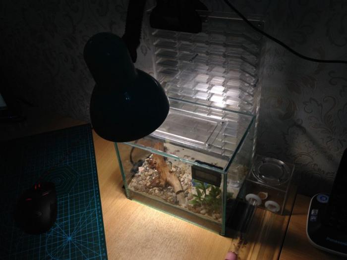 2015-08-10 00.12.02.jpg