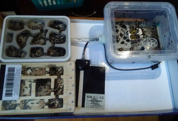  Ð²Ð¸Ð´ 1_Ð¸Ð·Ð¼ÐµÐ½.ÑÐ°Ð·Ð¼ÐµÑ.jpg