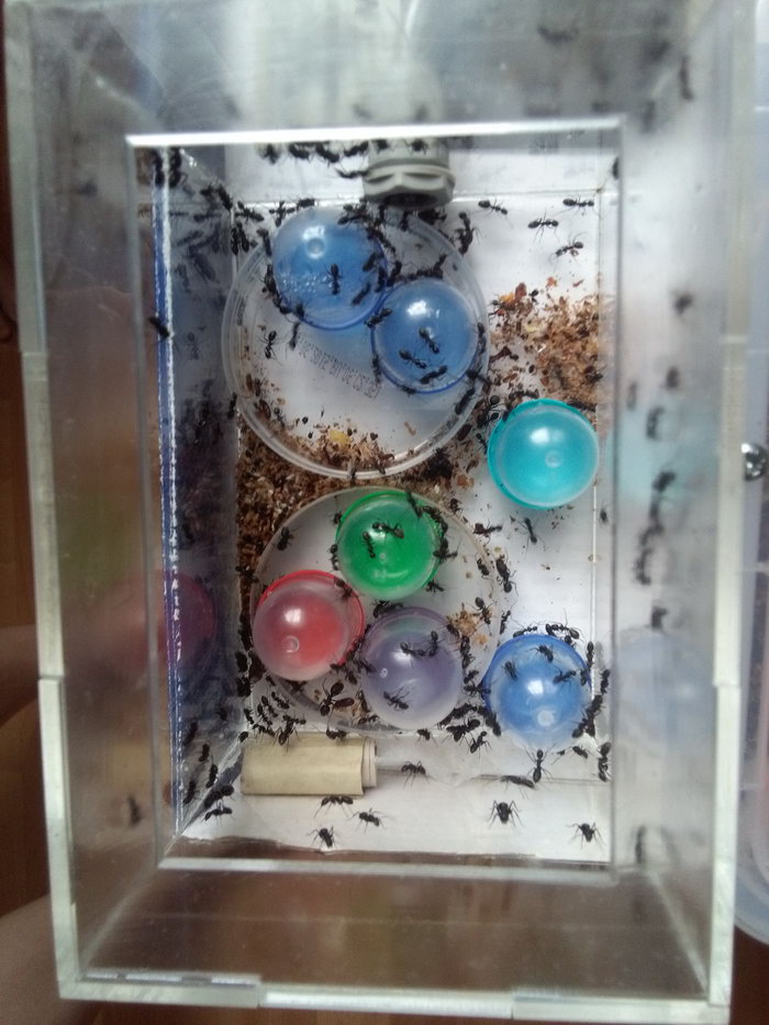 Ð´Ð»Ñ Ð¿Ð¾Ð¸Ð»Ð¾Ðº_измен.ÑазмеÑ.jpg