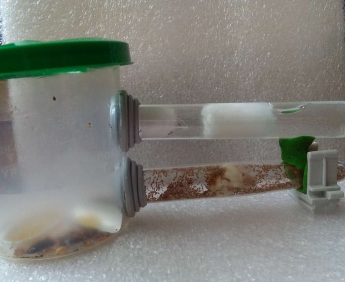  Ð¾Ð±ÑÐ¸Ð¹ Ð²Ð¸Ð´ 1_Ð¸Ð•Ð¼ÐµÐ½.ÑÐ°Ð•Ð¼ÐµÑ.jpg