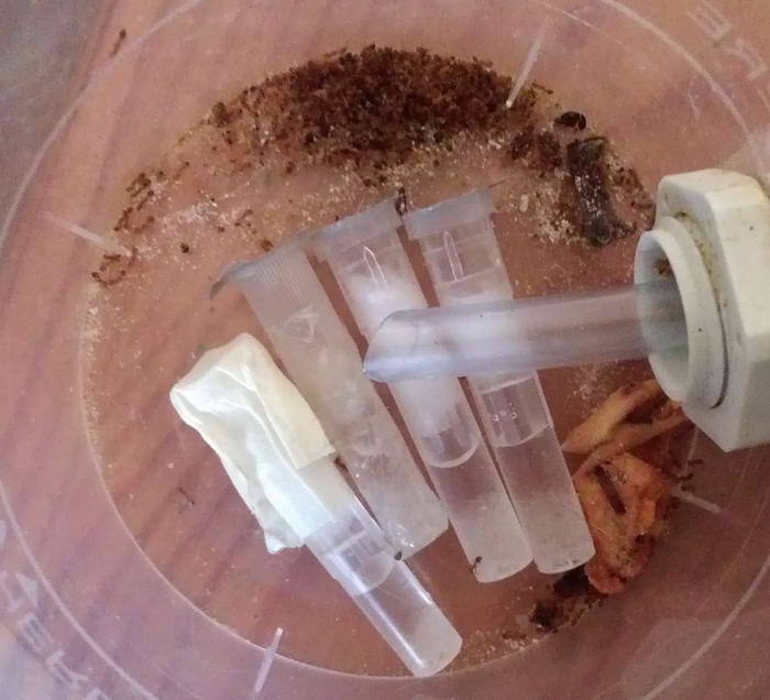  ÑÐµÑÐºÐ¸ 2_Ð¸Ð·Ð¼ÐµÐ½.ÑÐ°Ð·Ð¼ÐµÑ.jpg